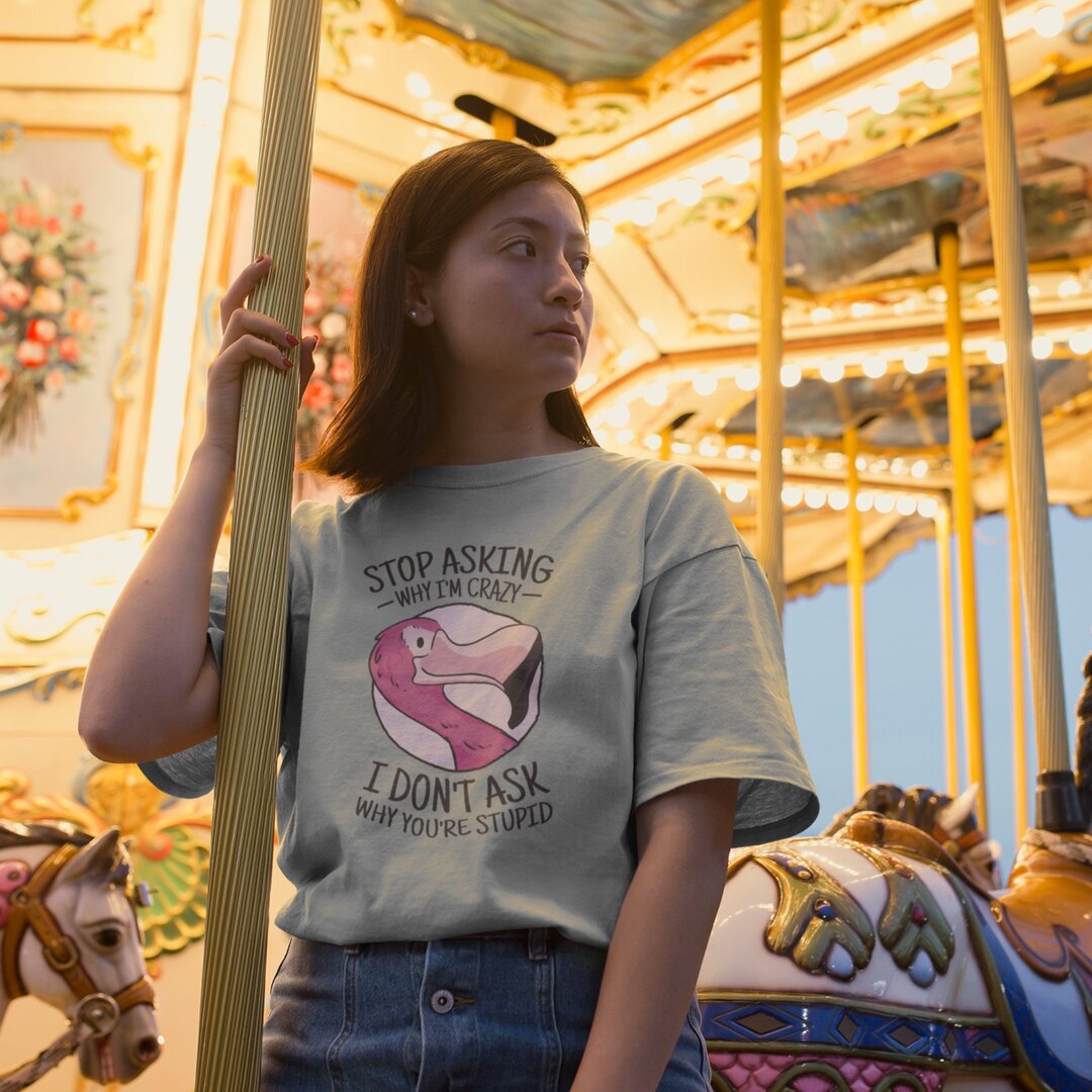 Crazy Flamingo Unisex Oversized T-Shirt — front view