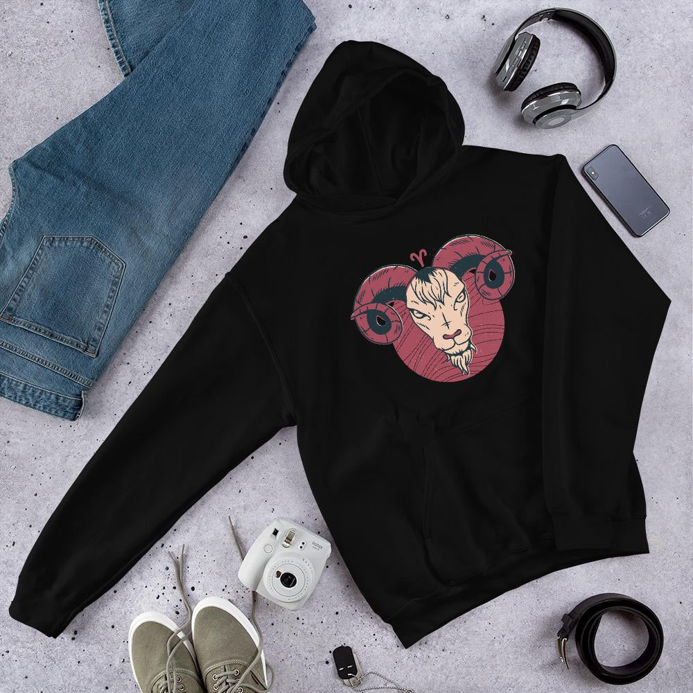 Aries Zodiac Unisex Hooded Sweatshirt — back view