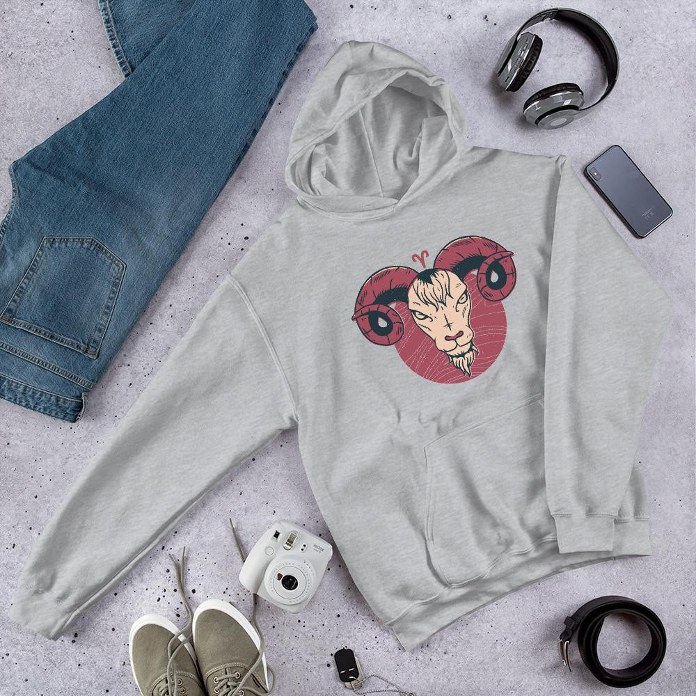 Aries Zodiac Unisex Hooded Sweatshirt — front view