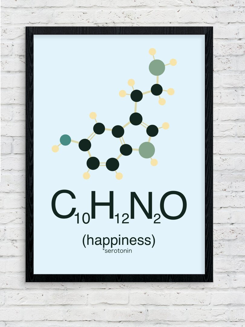 Happiness Framed Poster — A3 12 X 18 Inch